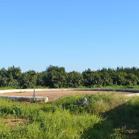 Quinta Das Figueiras Віла-Нова-де-Касела Екстер'єр фото